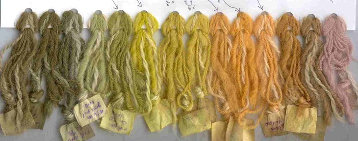 range of colors from onion skins